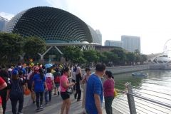 CSR - August 2018 - Community Chest Heartstrings Walk 2018