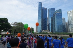 CSR - August 2018 - Community Chest Heartstrings Walk 2018