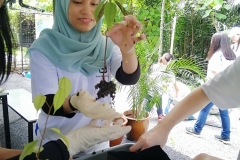 CSR - October 2019 - Tree Planting at Taman Tugu